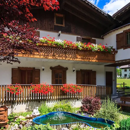 Otel Edelweiss Forni di Sopra