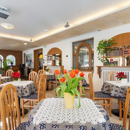 Edelweiss Forni di Sopra